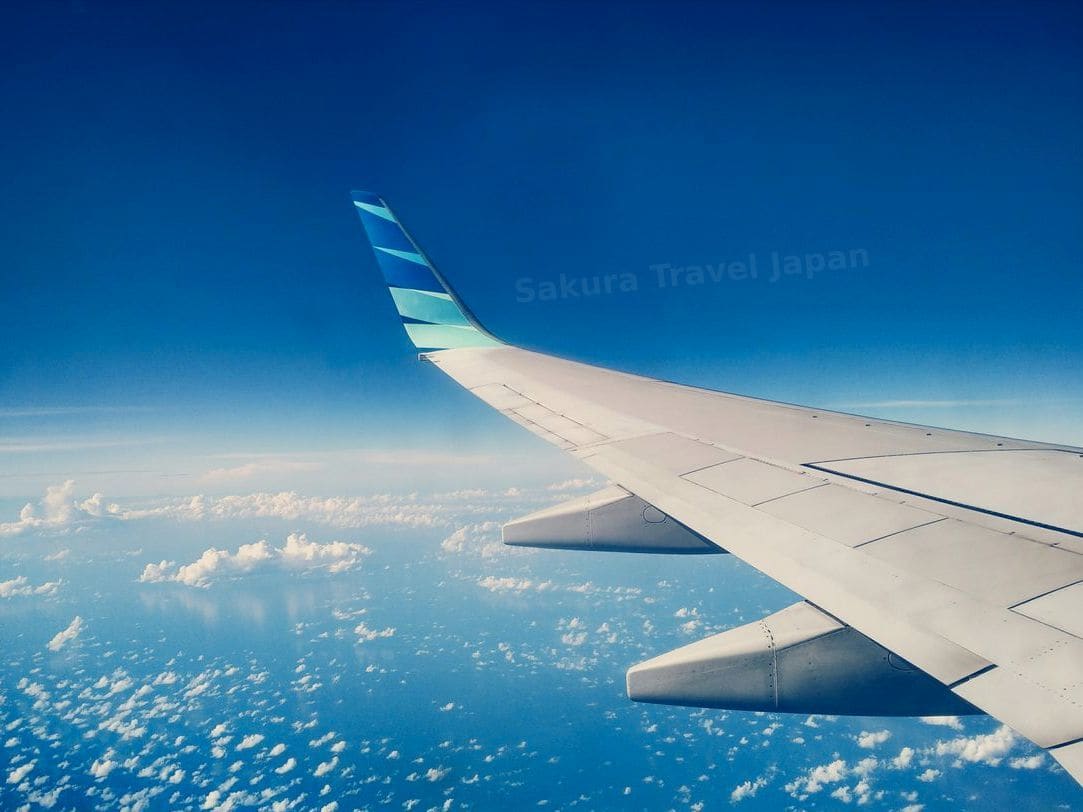 Sakura Travel Japan 1
